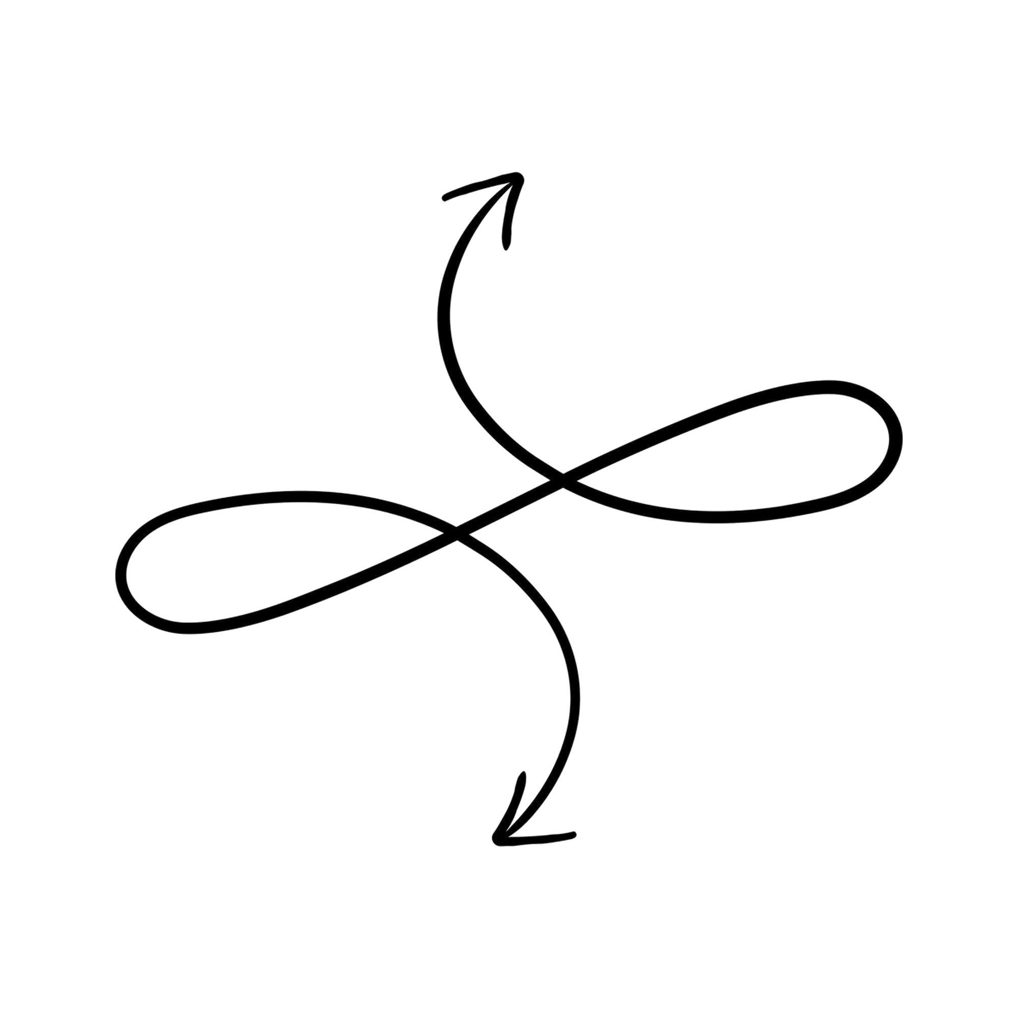 icon flexibility